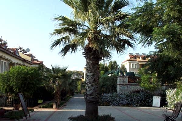 Perdikia Hill Hotel